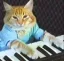 KEYCAT